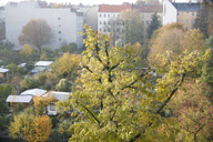 _MG_5895