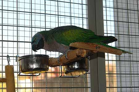 Chico_2503_01