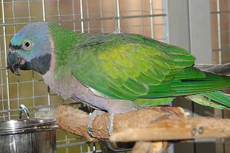 Chico_2503_13