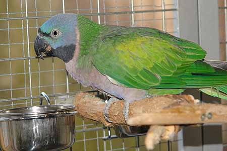 Chico_2503_14