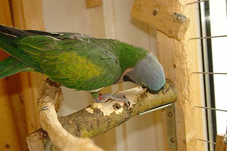 Chico_2803_09