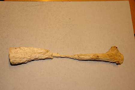 Chico_2803_15