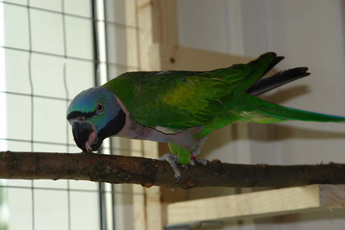 DSC05141