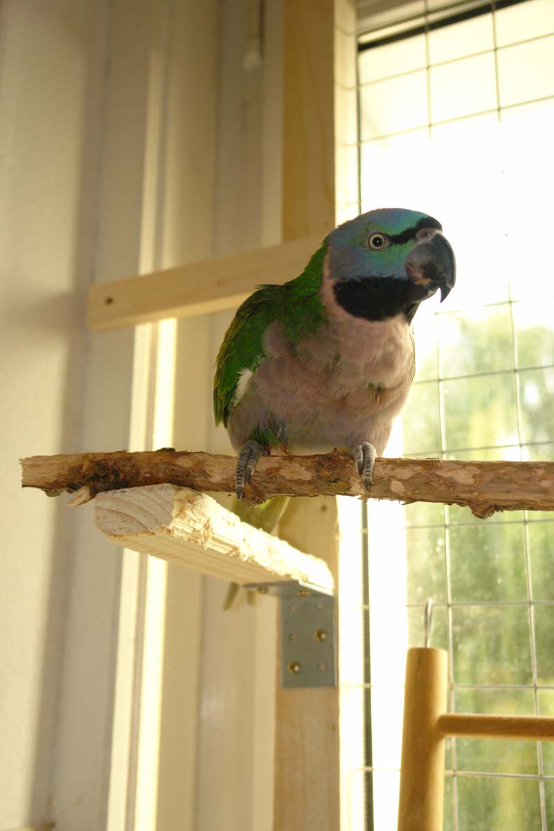 DSC05145