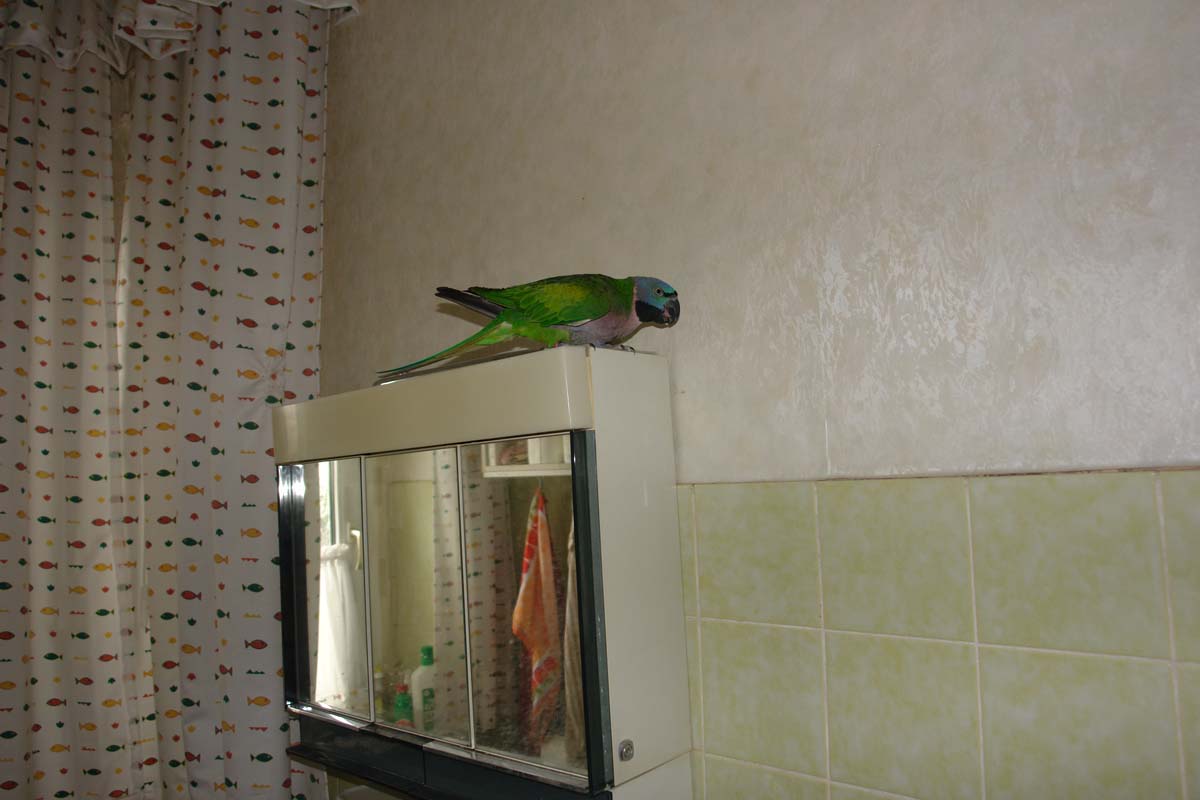 DSC05175
