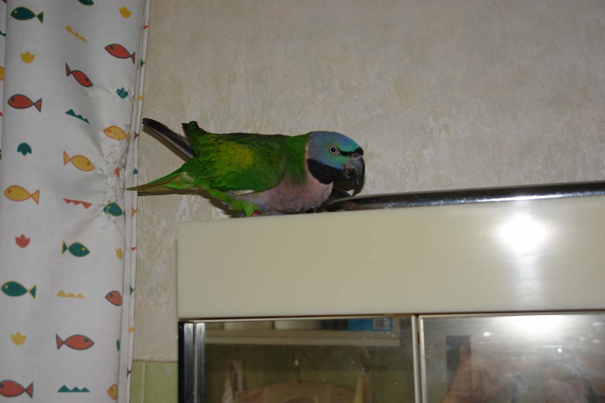 DSC05176