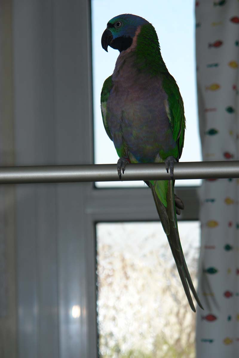DSC05242