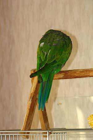DSC05413_kl