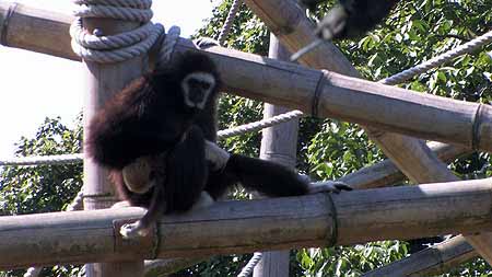 IMG_0834_kl