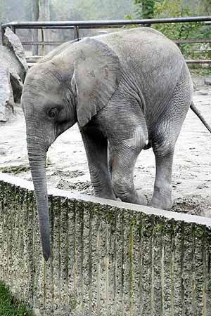 _MG_5856_kl
