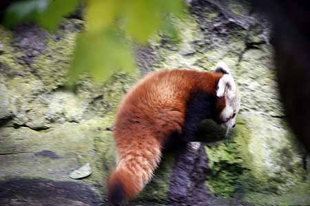 _MG_5867_kl