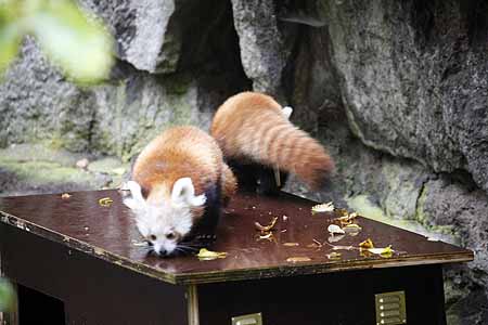_MG_5867_kl