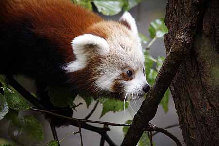 _MG_5875_kl