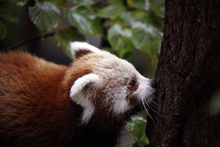 _MG_5876_kl
