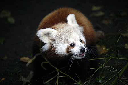 _MG_5880_kl
