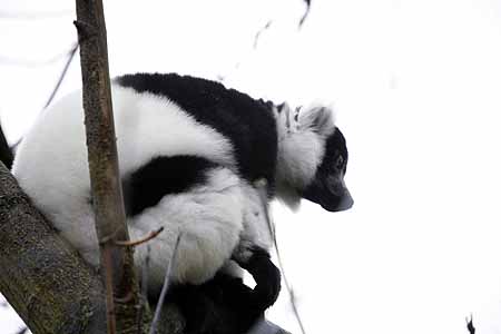 _MG_5891_kl