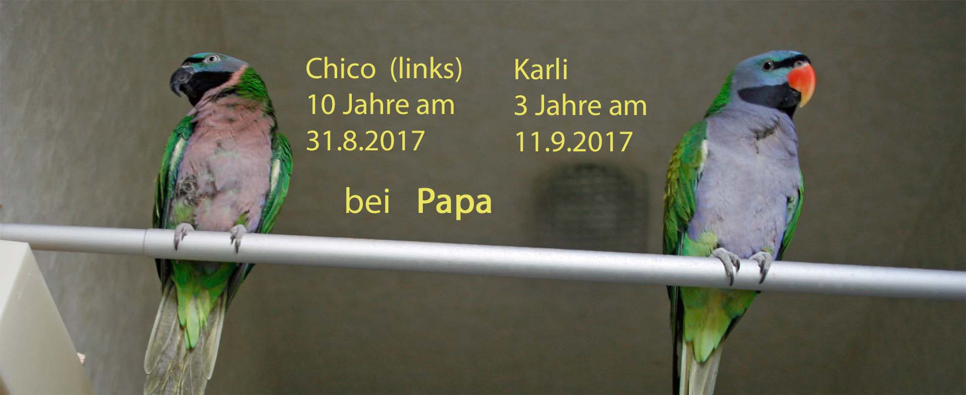 20170911_Jubelzeit_Datum