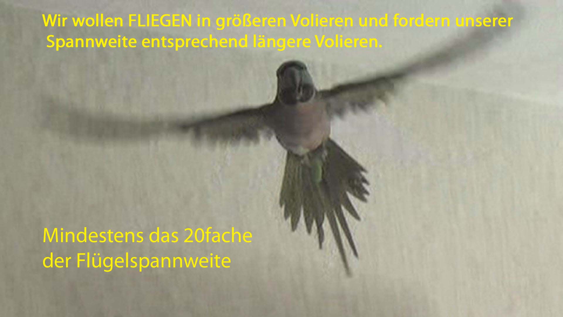 Spannweite_2_indexbild